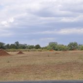  The Serengeti, TZ